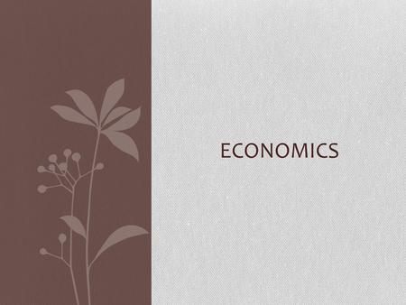 ECONOMICS. LEVELS OF ECONOMIC DEVELOPMENT Less developed - refers to the nations with the lowest indicators of development; generally characterized by.