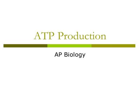 ATP Production AP Biology. Overview: Life Is Work  Living cells require energy from outside sources  Some animals, such as the giant panda, obtain energy.