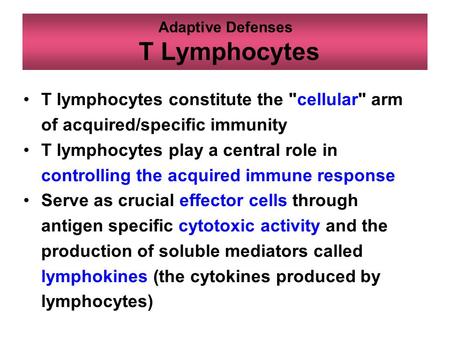 Adaptive Defenses T Lymphocytes T lymphocytes constitute the cellular arm of acquired/specific immunity T lymphocytes play a central role in controlling.