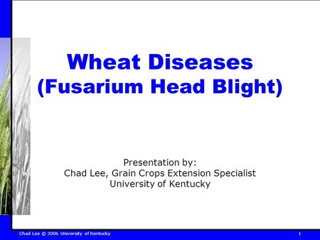 Chad Lee © 2006 University of Kentucky 1 Wheat Diseases (Fusarium Head Blight) Presentation by: Chad Lee, Grain Crops Extension Specialist University of.