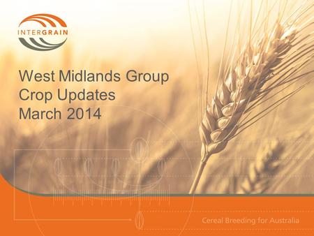 West Midlands Group Crop Updates March 2014. Wheat NVT wheat variety performance 2013 Dandaragan site performance 2009-13 Long-term NVT yield performance.