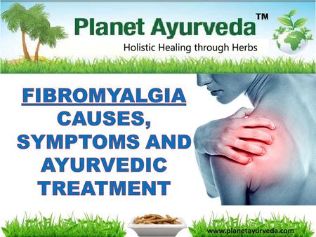 Www.planetayurveda.com.  Fibromyalgia is the most common musculoskeletal condition after osteoarthritis.  Its characteristics include widespread muscle.