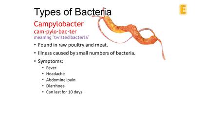 Types of Bacteria Found in raw poultry and meat. Illness caused by small numbers of bacteria. Symptoms: Fever Headache Abdominal pain Diarrhoea Can last.