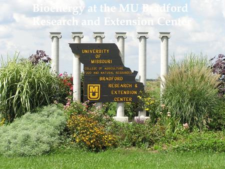 Bioenergy at the MU Bradford Research and Extension Center.