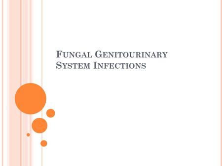 F UNGAL G ENITOURINARY S YSTEM I NFECTIONS. Bladder and kidneys infections Valvovaginal infections.
