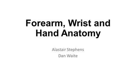 Forearm, Wrist and Hand Anatomy