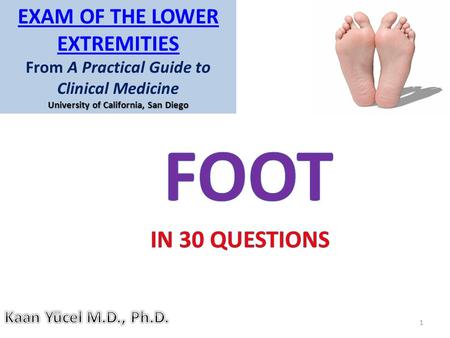 FOOT IN 30 QUESTIONS Exam of the Lower Extremities