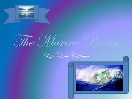 The Marine Biome By: Chloe Calhoun.  Being the biggest biome on Earth, the marine biome takes up 70% of the planet’s surface!  It has 5 main oceans: