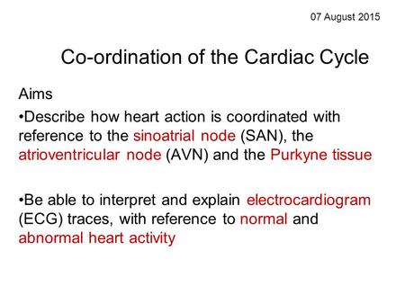 Co-ordination of the Cardiac Cycle Aims Describe how heart action is coordinated with reference to the sinoatrial node (SAN), the atrioventricular node.