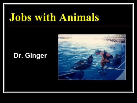 Jobs with Animals Dr. Ginger. Do you want to… Study Animals in the Wild Study Animals in the Laboratory Take Care of Animals at Zoos Take Care of Animals.