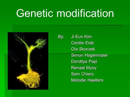 Genetic modification By: Ji Eun Kim Cecilie Eide Ola Skoczek Simon Hagenmaier Dorottya Papi Renaat Myny Sam Chiers Melodie Haelters.
