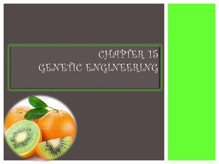 Chapter 15 Genetic Engineering