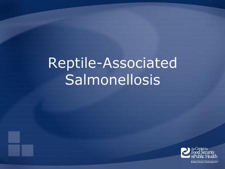 Reptile-Associated Salmonellosis. Overview Organism History Epidemiology Transmission Disease in Humans Disease in Animals Prevention and Control Center.