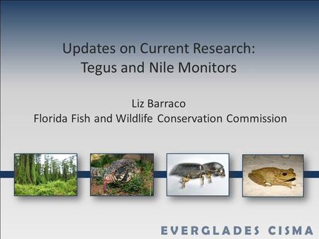 Updates on Current Research: Tegus and Nile Monitors Liz Barraco Florida Fish and Wildlife Conservation Commission.