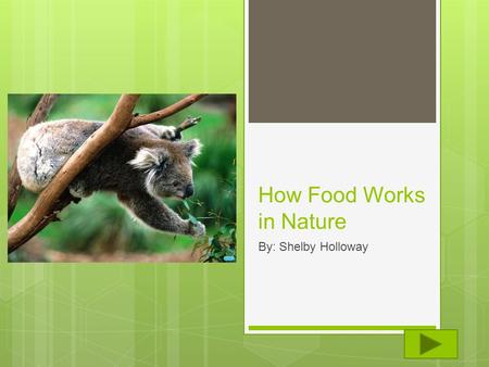 How Food Works in Nature