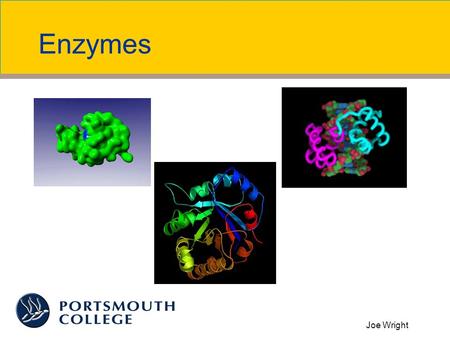 Joe Wright Enzymes. Joe Wright What are Enzymes? Globular proteins Biological catalysts Do not change after reaction They are found in small quantities.