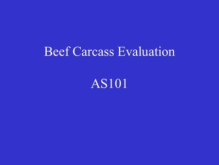Beef Carcass Evaluation AS101