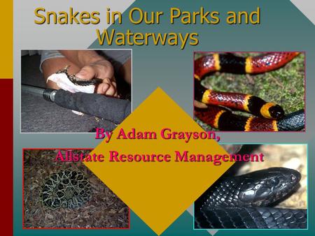 Snakes in Our Parks and Waterways By Adam Grayson, Allstate Resource Management.