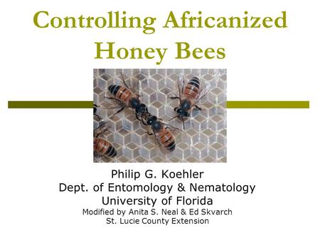 Controlling Africanized Honey Bees Philip G. Koehler Dept. of Entomology & Nematology University of Florida Modified by Anita S. Neal & Ed Skvarch St.