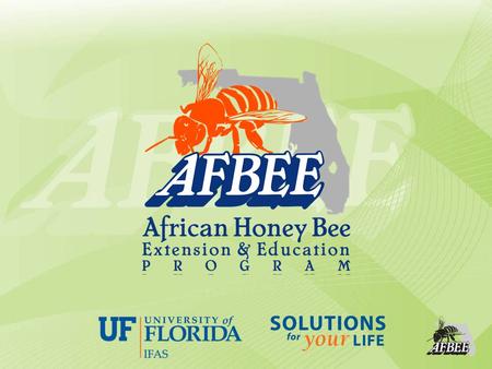 Safe removal of Africanized honey bee colonies Developed by: Dr. Philip Koehler Adapted by: Michael K. O’Malley Dr. Jamie.