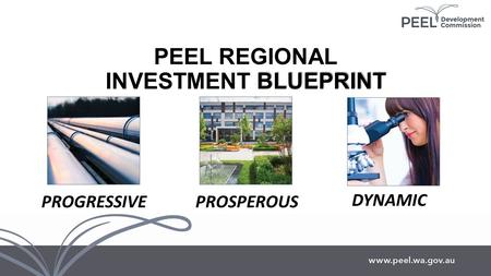 BLUEPRINT PEEL REGIONAL INVESTMENT BLUEPRINT PROGRESSIVEPROSPEROUS DYNAMIC.