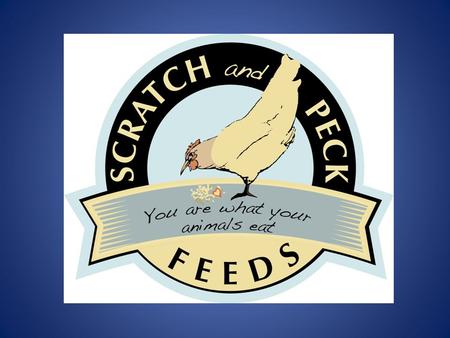Mission Statement Scratch and Peck transforms local, organic, and non-GMO ingredients into socially and environmentally sustainable products for the urban.
