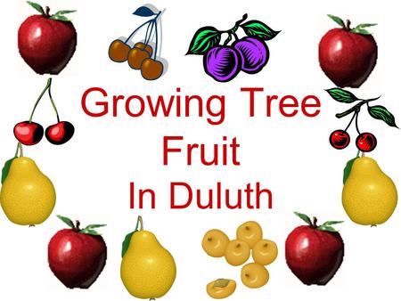 Growing Tree Fruit In Duluth. Planning the planting Size of fruit planting –Space available –Size of family –Experience of grower –Availability of tools.