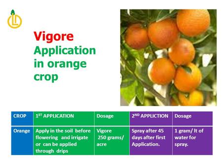 CROP1 ST APPLICATIONDosage2 ND APPLICTIONDosage OrangeApply in the soil before flowering and irrigate or can be applied through drips Vigore 250 grams/