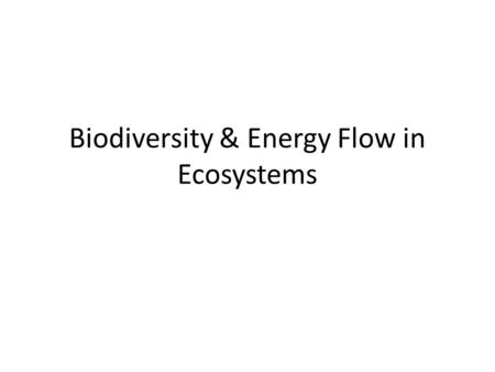 Biodiversity & Energy Flow in Ecosystems. Predators or Prey?