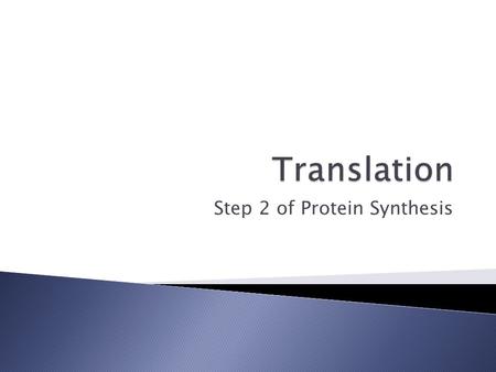 Step 2 of Protein Synthesis