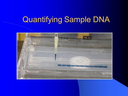 Quantifying Sample DNA. Definition Quantifying DNA: a technique to calculate the quantity (weight) of DNA (deoxyribonucleic acid) in a sample. Using a.
