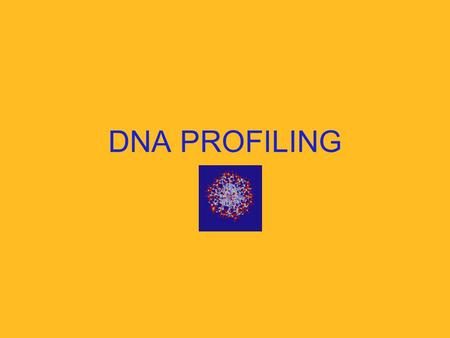 DNA PROFILING. What is DNA Profiling? It is a method of identifying an individual by unique characteristics of that person’s DNA.