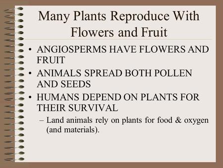 Many Plants Reproduce With Flowers and Fruit ANGIOSPERMS HAVE FLOWERS AND FRUIT ANIMALS SPREAD BOTH POLLEN AND SEEDS HUMANS DEPEND ON PLANTS FOR THEIR.