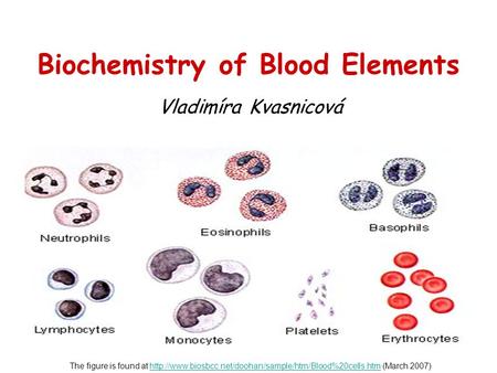 Biochemistry of Blood Elements Vladimíra Kvasnicová The figure is found at  (March 2007)http://www.biosbcc.net/doohan/sample/htm/Blood%20cells.htm.