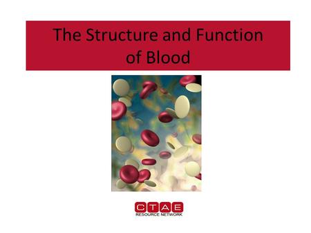 The Structure and Function of Blood. Composition of Blood Blood is responsible for….. – Transporting gases (oxygen & carbon dioxide) – Transporting waste.