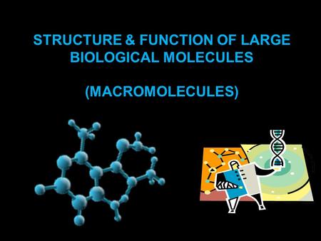 Structure & Function of Large Biological Molecules (Macromolecules)