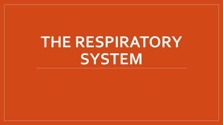 THE RESPIRATORY SYSTEM. Structure Air enters the lungs through one of 2 passages The nose The mouth After entering, air travels through the pharynx (throat),