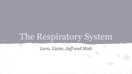 The Respiratory System Lara, Lizzie, Jeff and Matt.