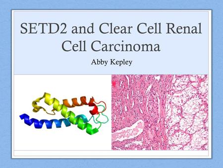 SETD2 and Clear Cell Renal Cell Carcinoma