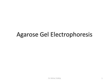 Agarose Gel Electrophoresis 1Dr. Nikhat Siddiqi. Agarose is a linear polymer made up of the basic repeating unit of agarobiose which comprises alternating.