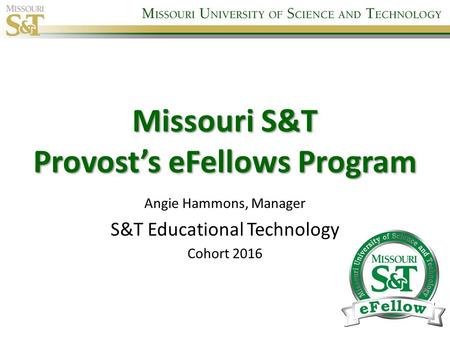 Missouri S&T Provost’s eFellows Program Angie Hammons, Manager S&T Educational Technology Cohort 2016.