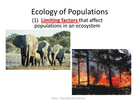 Ecology of Populations (1) Limiting factors that affect populations in an ecosystem Hickox: Baker High School Biology.