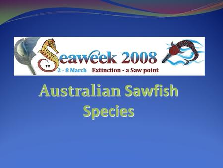 Australian Sawfish Species. There are 4 known sawfish species in Australian Waters There are 4 known sawfish species in Australian Waters Narrow sawfish.