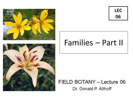 Families – Part II LEC 06 FIELD BOTANY – Lecture 06