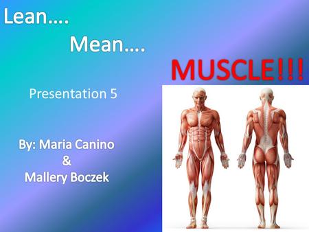 Presentation 5. Exercise and its Impact on Muscle Exercise has a profound effect on muscle growth, which can occur only if muscle protein synthesis exceeds.