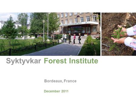 Syktyvkar Forest Institute Bordeaux, France December 2011.