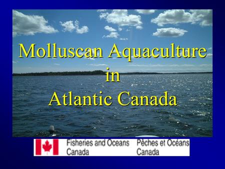Molluscan Aquaculture in Atlantic Canada. Need for Aquaculture The need for food around the world is always increasing Fish stocks are declining - New.