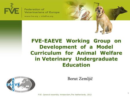 FVE-EAEVE Working Group on Development of a Model Curriculum for Animal Welfare in Veterinary Undergraduate Education Borut Zemljič FVE General Assembly.