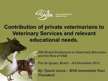 OIE Global Conference on Veterinary Education and the Role of VSB Foz do Iguazu, Brazil – 4-6 December 2013. By Tjeerd Jorna – WVA Immediate Past President.