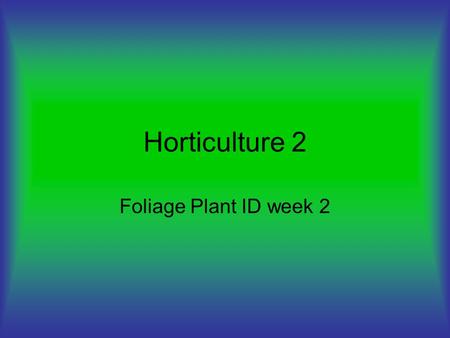 Horticulture 2 Foliage Plant ID week 2. Spathiphyllum ‘Peace Lily’ House plant Low light Requires nitrogen.